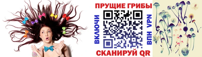 Псилоцибиновые грибы Psilocybe цены Ступино