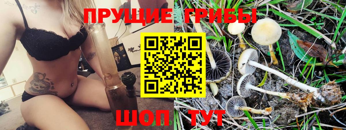 Ступино  Псилоцибиновые грибы GOLDEN TEACHER  Вход с VPN 